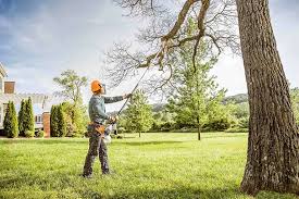Best Hazardous Tree Removal  in Columbia, SC